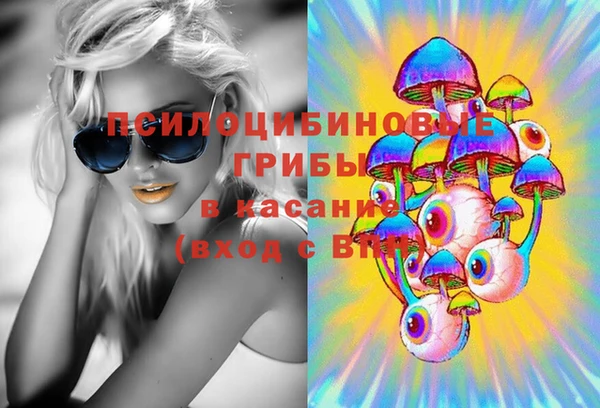 spice Алексеевка