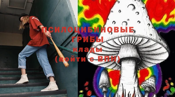 spice Алексеевка