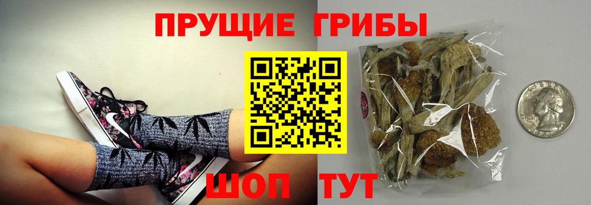 Псилоцибиновые грибы прущие грибы  Вход с VPN  Междуреченск 